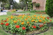 باغ گل تابستانه اراک