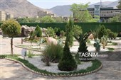 باغ گل تابستانه اراک