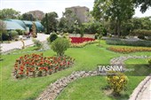 باغ گل تابستانه اراک