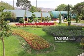 باغ گل تابستانه اراک