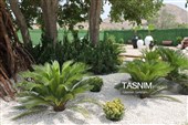 باغ گل تابستانه اراک