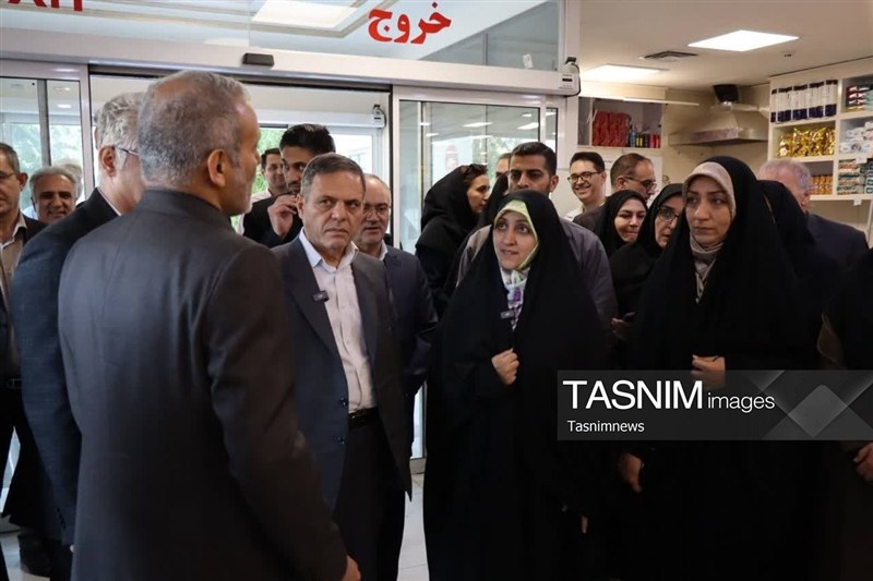 اخبار زنجان , معاون امور زنان و خانواده , 