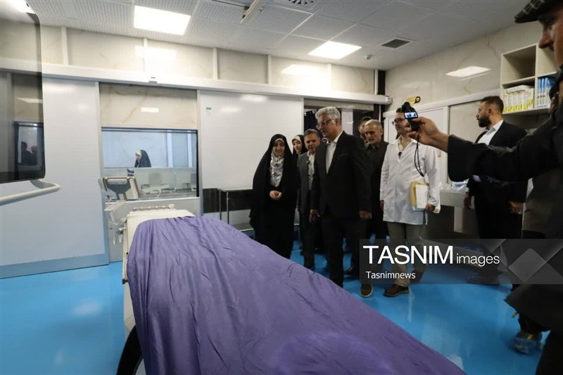 اخبار زنجان , معاون امور زنان و خانواده , 