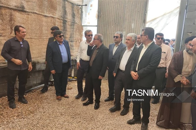 اخبار استان کهگیلویه و بویراحمد , هفته دولت ,