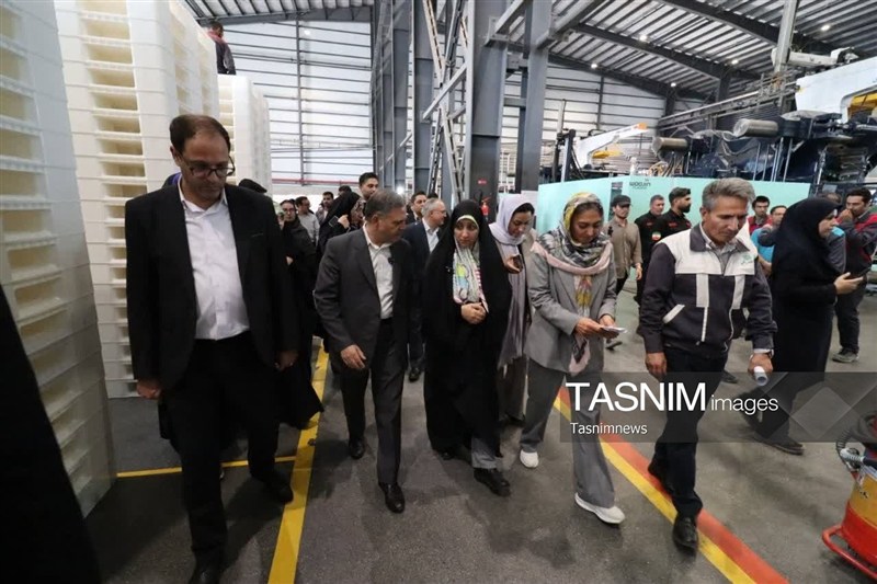 اخبار زنجان , معاون امور زنان و خانواده , 