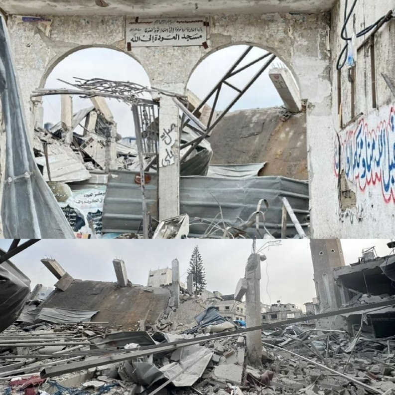 رژیم صهیونیستی (اسرائیل) , کشور فلسطین , المقاومة الفلسطینیة , فلسطین من النهر إلى البحر , أخبار فلسطین , النازحین الفلسطینیین , نوار غزه , آوارگان , المسجد الأقصى , مسجد , طوفان الاقصی , شجرة الزیتون , آثار باستانی | آثار تاریخی ,