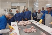 552 میلیارد تومان پروژه ارتباطی و تولیدی در گیلان به بهره‌برداری رسید