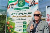 رشد 43 درصدی تولید غلات و توسعه سایبان‌های باغی در اولویت خراسان رضوی