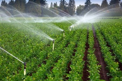 تجهیز 30 هزار هکتار از اراضی کشاورزی البرز به سیستم‌های نوین آبیاری