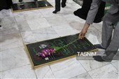 آغاز هفته دولت در هرمزگان