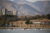مسابقات کشوری دراگون بوت