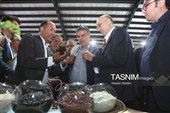 برنامه‌های هفته دولت در شهرستان دلیجان