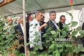 برنامه‌های هفته دولت در شهرستان محلات