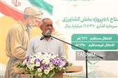 برنامه‌های هفته دولت در شهرستان محلات