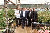 برنامه‌های هفته دولت در شهرستان محلات