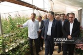 برنامه‌های هفته دولت در شهرستان محلات
