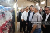 برنامه‌های هفته دولت در شهرستان محلات