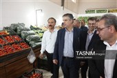 برنامه‌های هفته دولت در شهرستان محلات