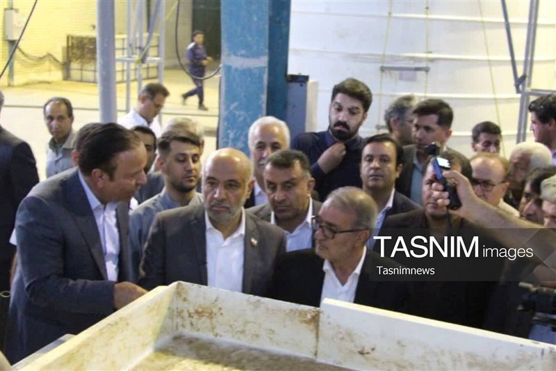 اخبار استان کهگیلویه و بویراحمد , نظام مسائل استان کهگیلویه و بویراحمد , تولید کاغذ , 