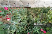 گرمی و سرعین در مسیر توسعه با افتتاح و کلنگ‌زنی 97 طرح