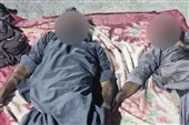 Security Forces Bust Terrorist Cell in SE Iran