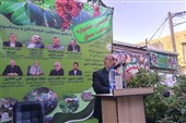 زنجیره ارزش سماق خانیک با توسعه صنایع تبدیلی تکمیل می‌شود