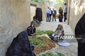 هشتمین جشنواره ملی سماق در روستای خانیک