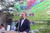 هشتمین جشنواره ملی سماق در روستای خانیک