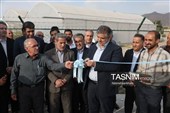 بهره‌برداری از 331 پروژه عمرانی، خدماتی و اقتصادی در شازند