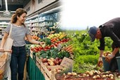 چالش امنیت غذایی در ترکیه و لزوم تجدید نظر در سیاست گذاری کشاورزی