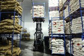 Minister Assures Iran’s Food Security Despite Sanctions