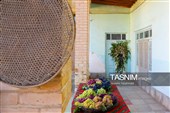 رویان شاهرود؛ سرزمین خوشه‌های سرخ