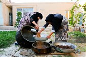 رویان شاهرود؛ سرزمین خوشه‌های سرخ