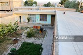رویان شاهرود؛ سرزمین خوشه‌های سرخ