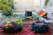 رویان شاهرود؛ سرزمین خوشه‌های سرخ