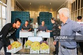 رویان شاهرود؛ سرزمین خوشه‌های سرخ