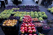 رویان شاهرود؛ سرزمین خوشه‌های سرخ