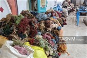 رفوگری؛ آخرین تارهای یک هنر در بیرجند