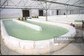 افتتاح و اجرایی 2400 طرح عمرانی و اقتصادی استان بوشهر