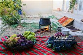 رویان شاهرود؛ سرزمین خوشه‌های سرخ