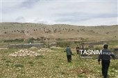 رفع تصرف 92 هکتار اراضی ملی کهگیلویه و بویراحمد با حکم قانون