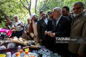 بازدید وزیر میراث‌فرهنگی از روستای گردشگری گازرخان الموت قزوین