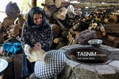 بازدید وزیر میراث‌فرهنگی از روستای گردشگری گازرخان الموت قزوین