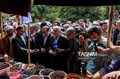 بازدید وزیر میراث‌فرهنگی از روستای گردشگری گازرخان الموت قزوین