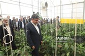 از مزار شهدا تا گفت‌وگو با مردم؛ استاندار در پارس‌آباد پای کار پروژه‌ها