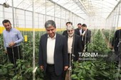 از مزار شهدا تا گفت‌وگو با مردم؛ استاندار در پارس‌آباد پای کار پروژه‌ها