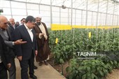 از مزار شهدا تا گفت‌وگو با مردم؛ استاندار در پارس‌آباد پای کار پروژه‌ها