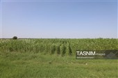 از مزار شهدا تا گفت‌وگو با مردم؛ استاندار در پارس‌آباد پای کار پروژه‌ها