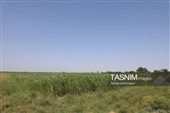 از مزار شهدا تا گفت‌وگو با مردم؛ استاندار در پارس‌آباد پای کار پروژه‌ها