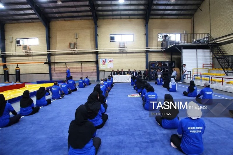 اخبار سنندج , اخبار استان کردستان , ووشو , ووشو ایران ,